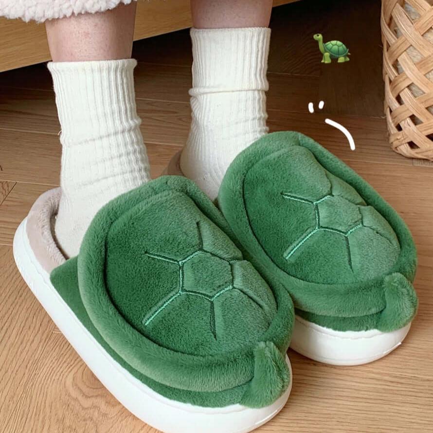 Turtle Slippers on feet